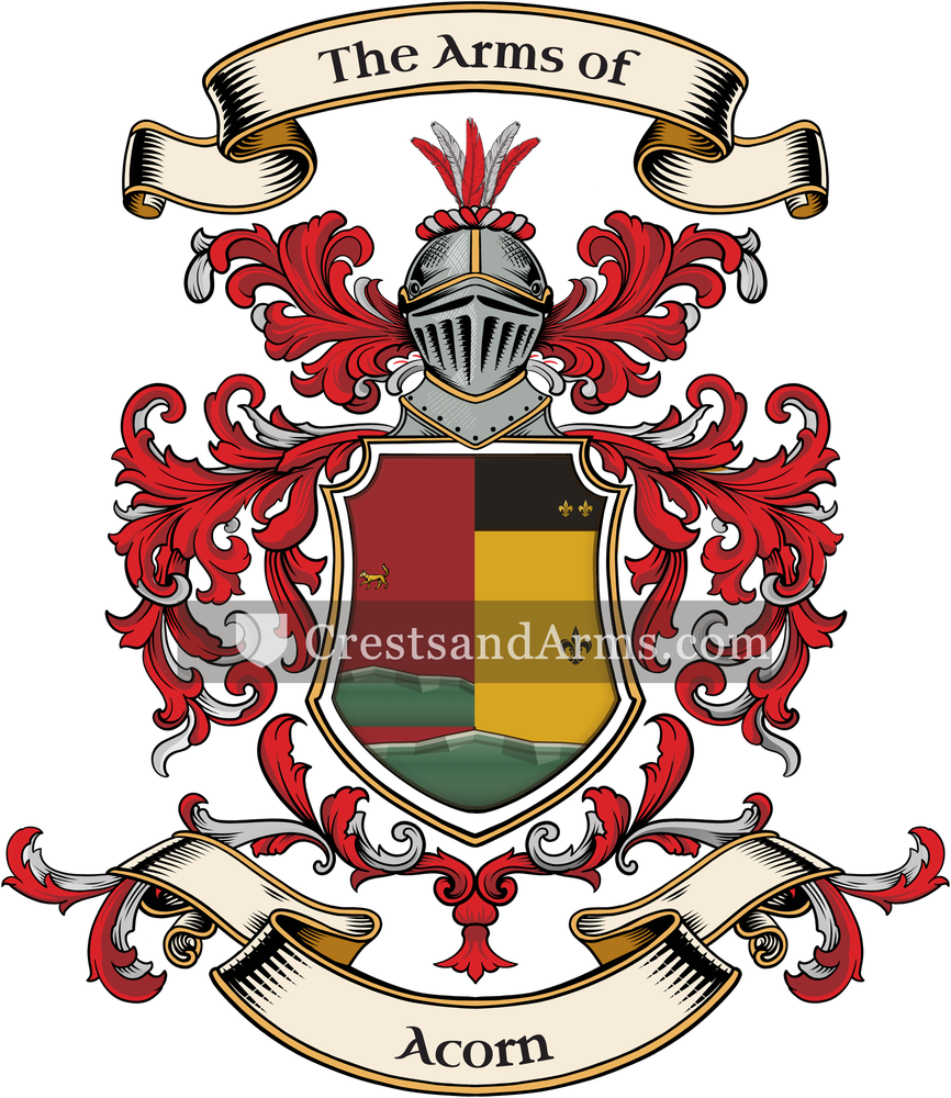 The Acorn coat of arms, drawn from the recorded blazon