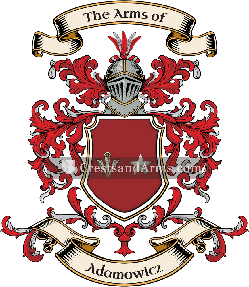 The Adamowicz coat of arms, drawn from the recorded blazon