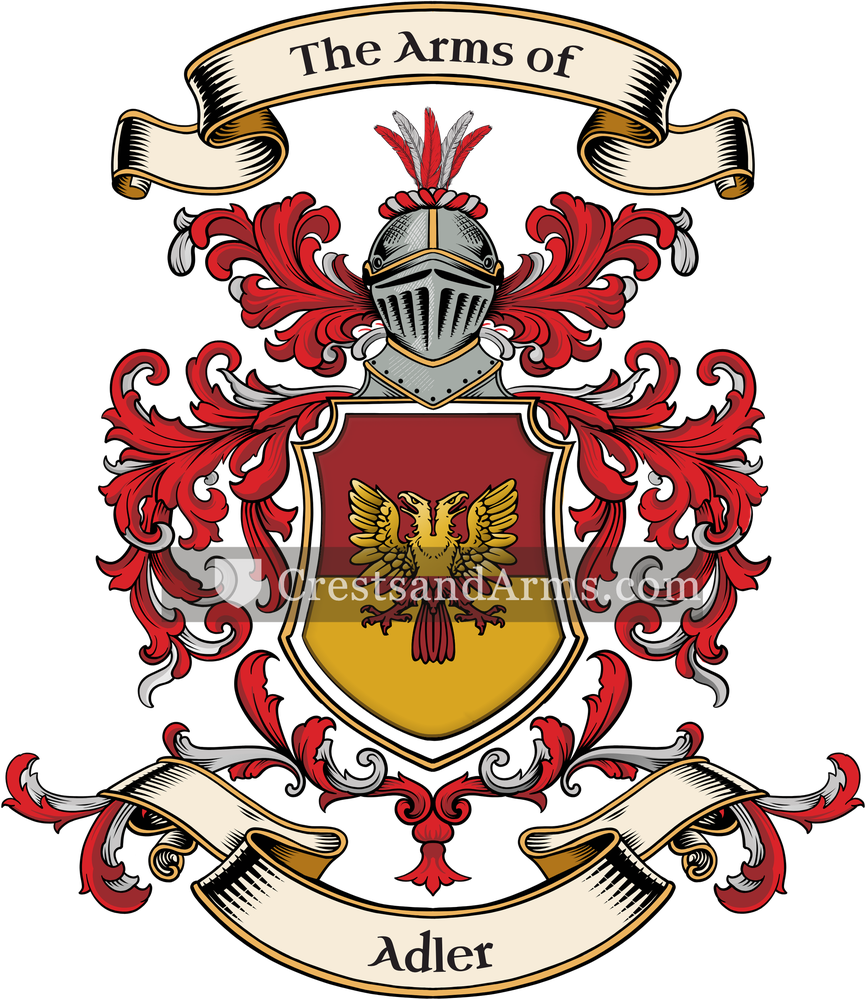 The Adler coat of arms, drawn from the recorded blazon