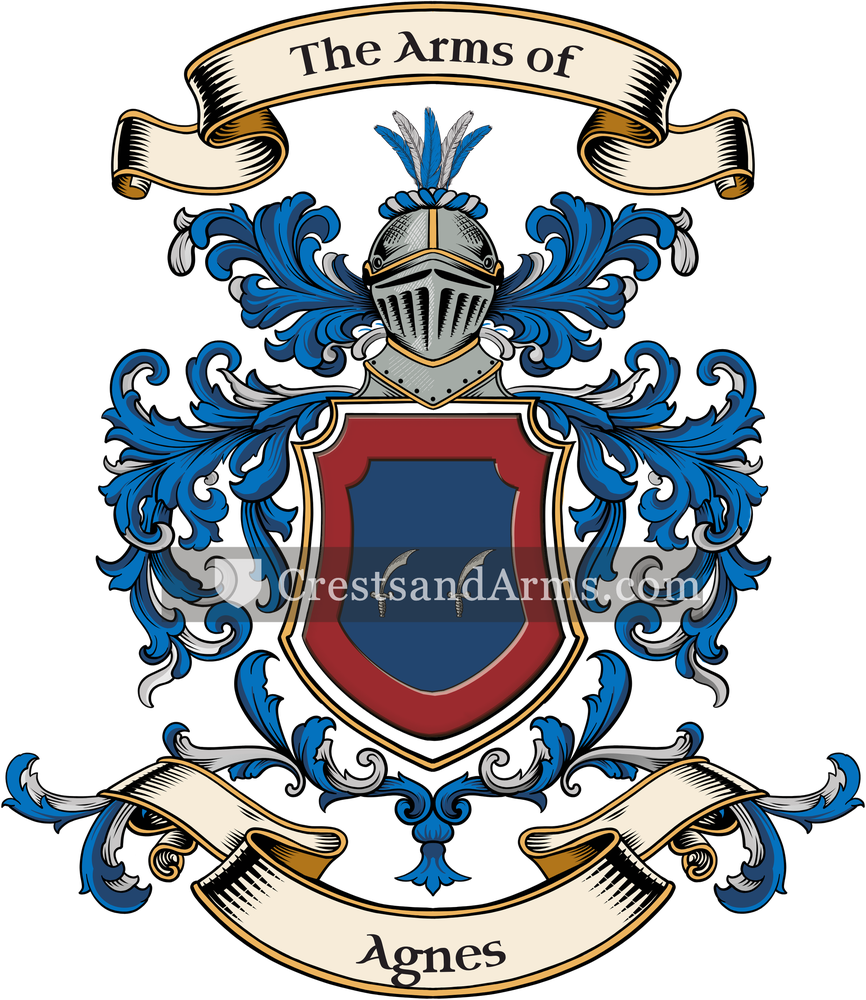 The Agnes coat of arms, drawn from the recorded blazon