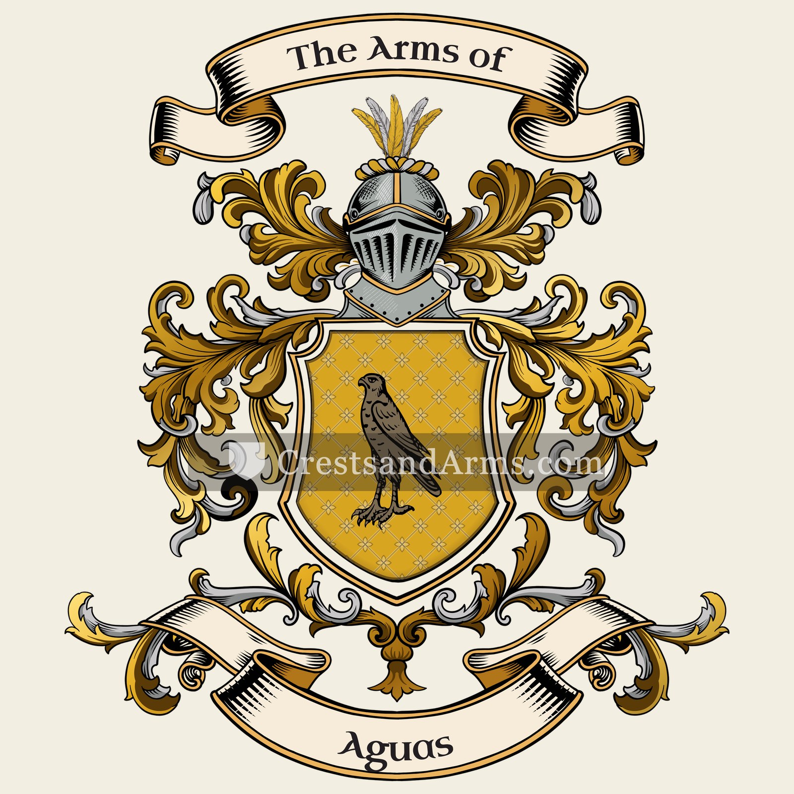 The Aguas coat of arms, drawn from the recorded blazon
