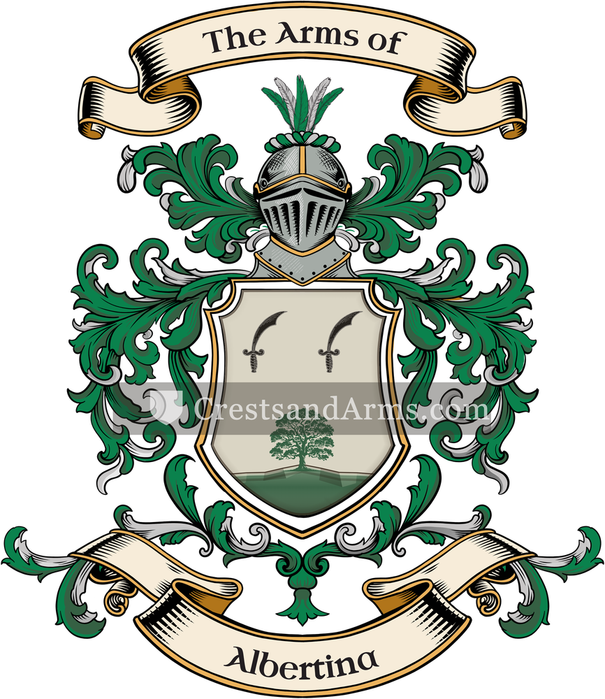 The Albertina coat of arms, drawn from the recorded blazon