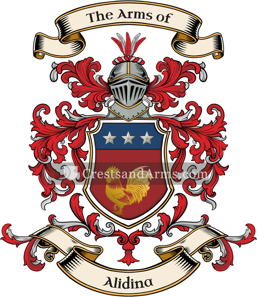 The Alidina coat of arms, drawn from the recorded blazon