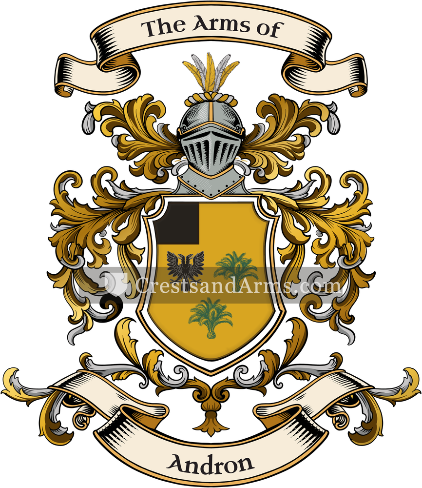 The Andron coat of arms, drawn from the recorded blazon