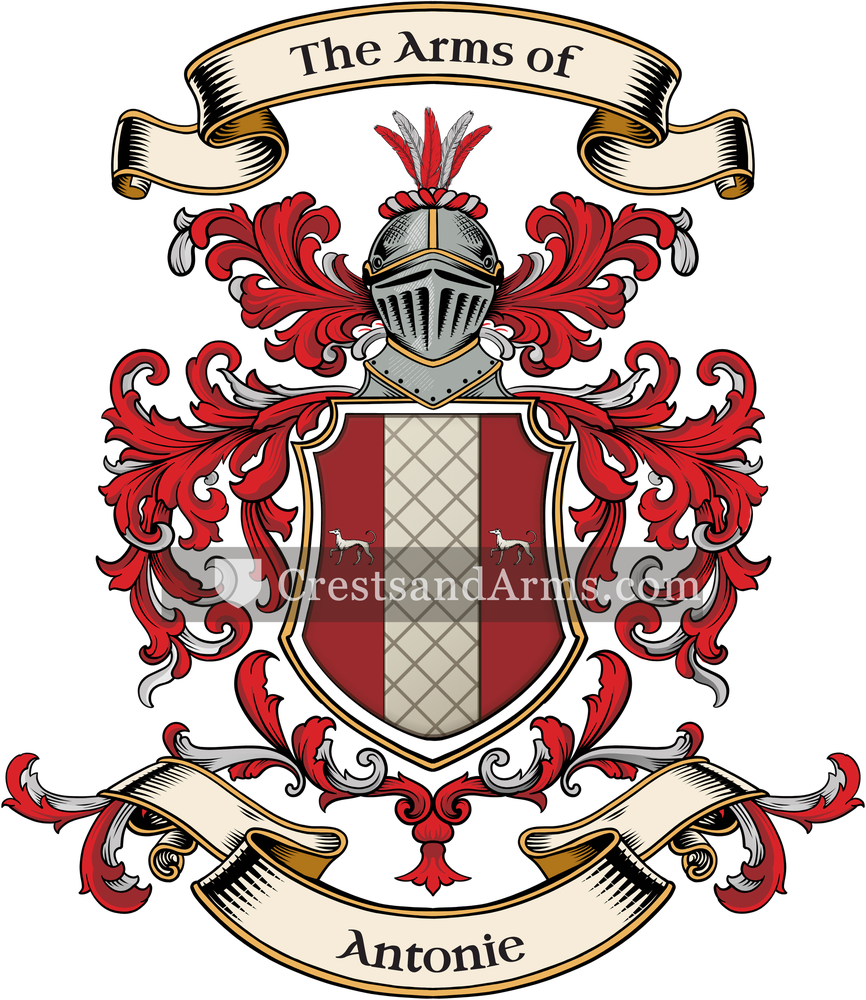 The Antonie coat of arms, drawn from the recorded blazon