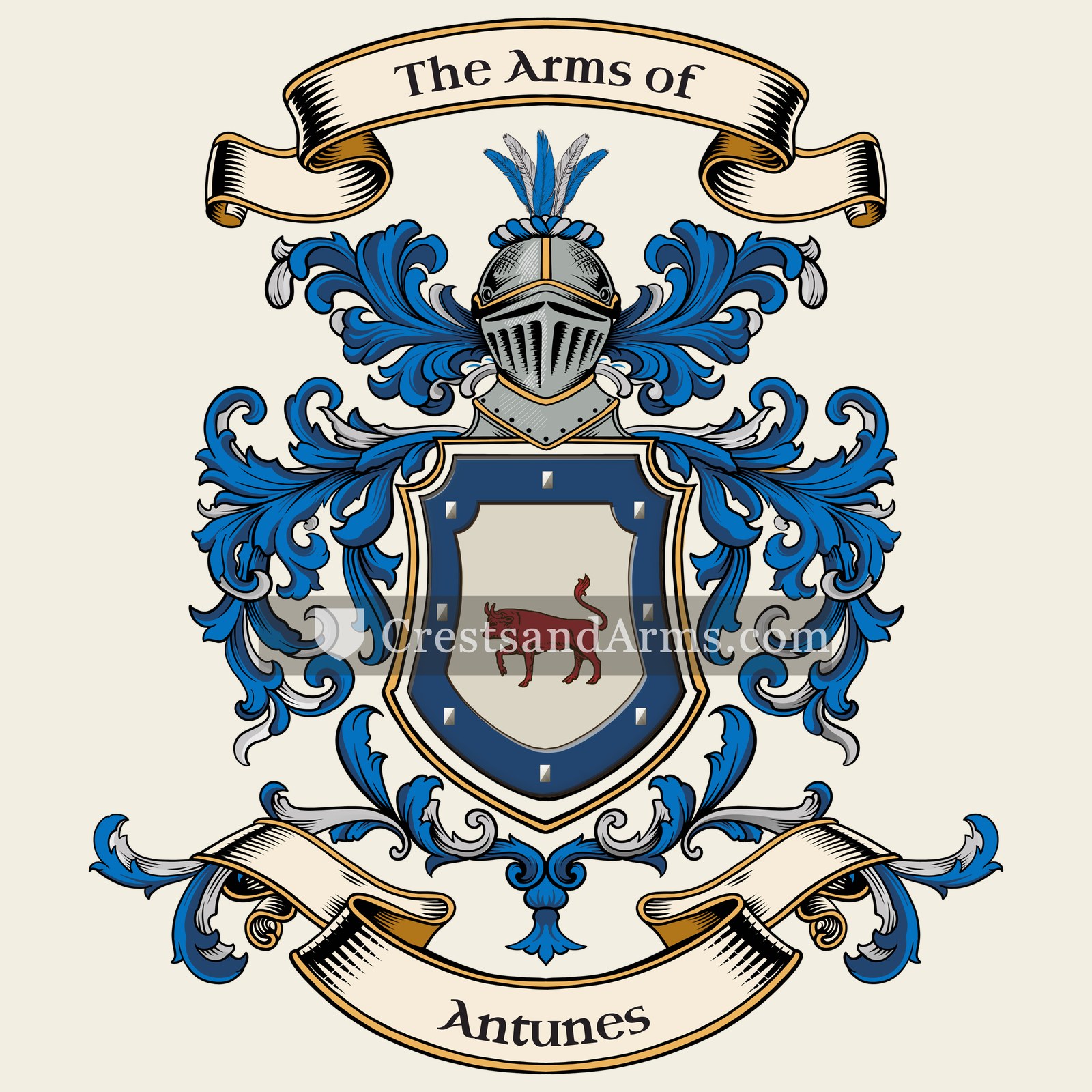 The arms