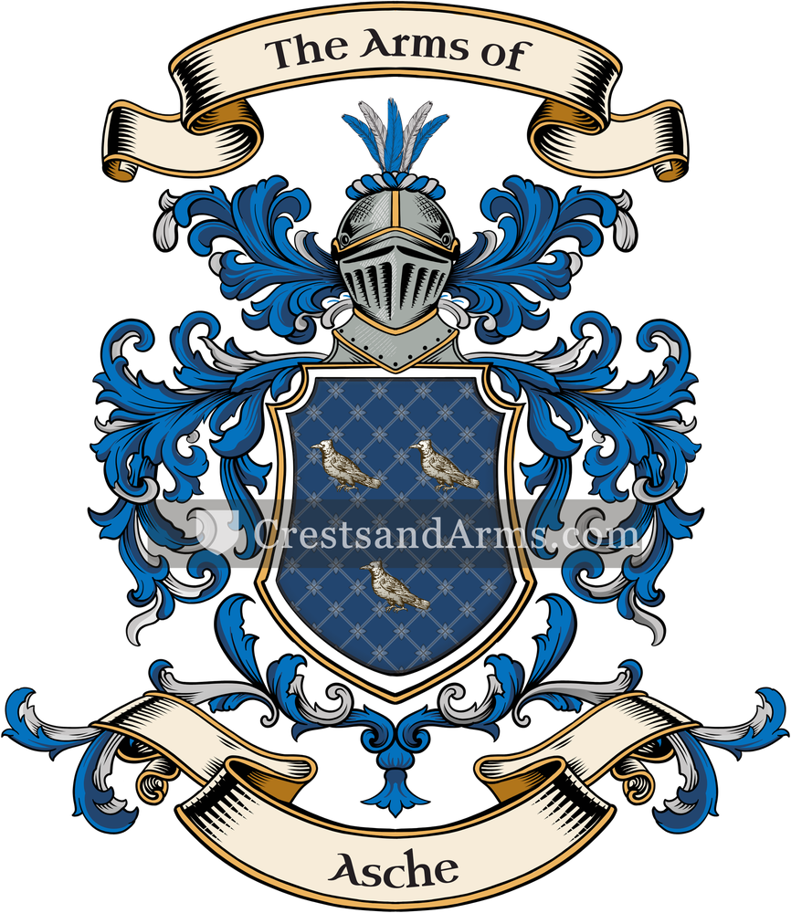 The Asche coat of arms, drawn from the recorded blazon