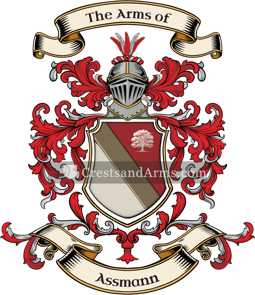 The Assmann coat of arms, drawn from the recorded blazon
