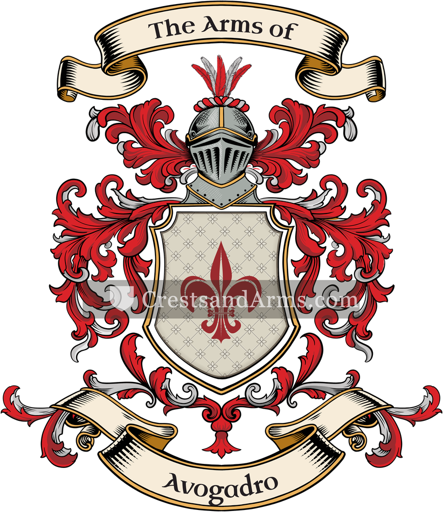 The Avogadro coat of arms, drawn from the recorded blazon
