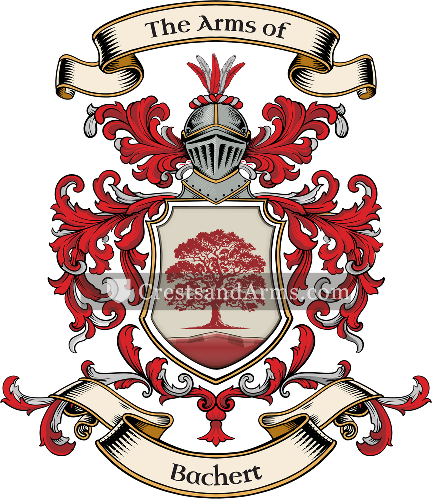 The Bachert coat of arms, drawn from the recorded blazon