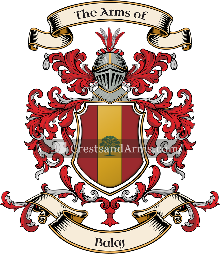 The Balaj coat of arms, drawn from the recorded blazon