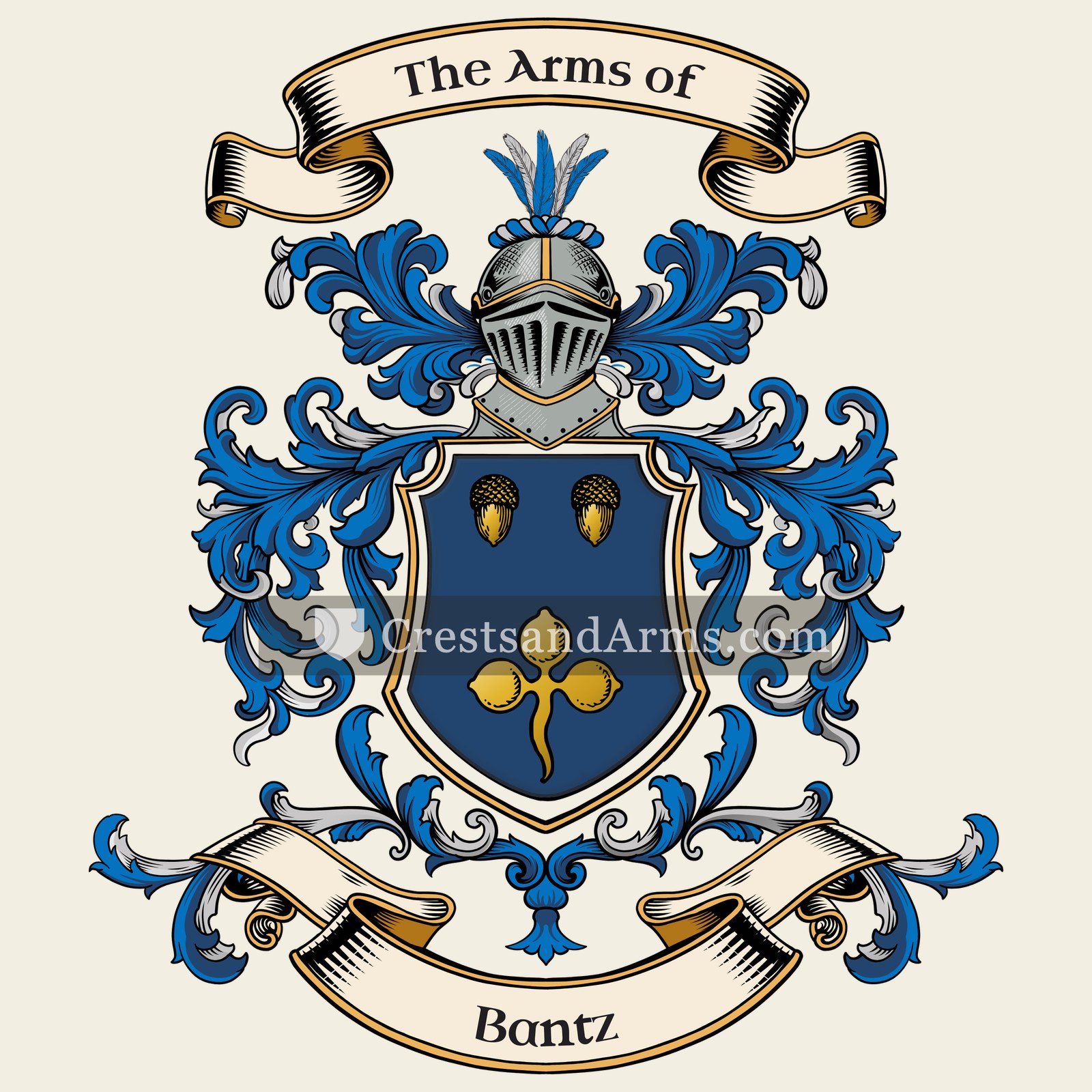 The arms