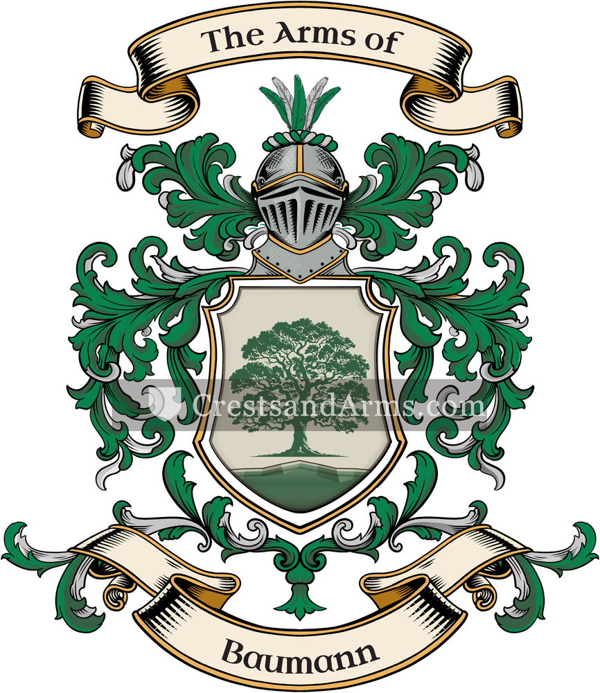 The Baumann coat of arms, drawn from the recorded blazon