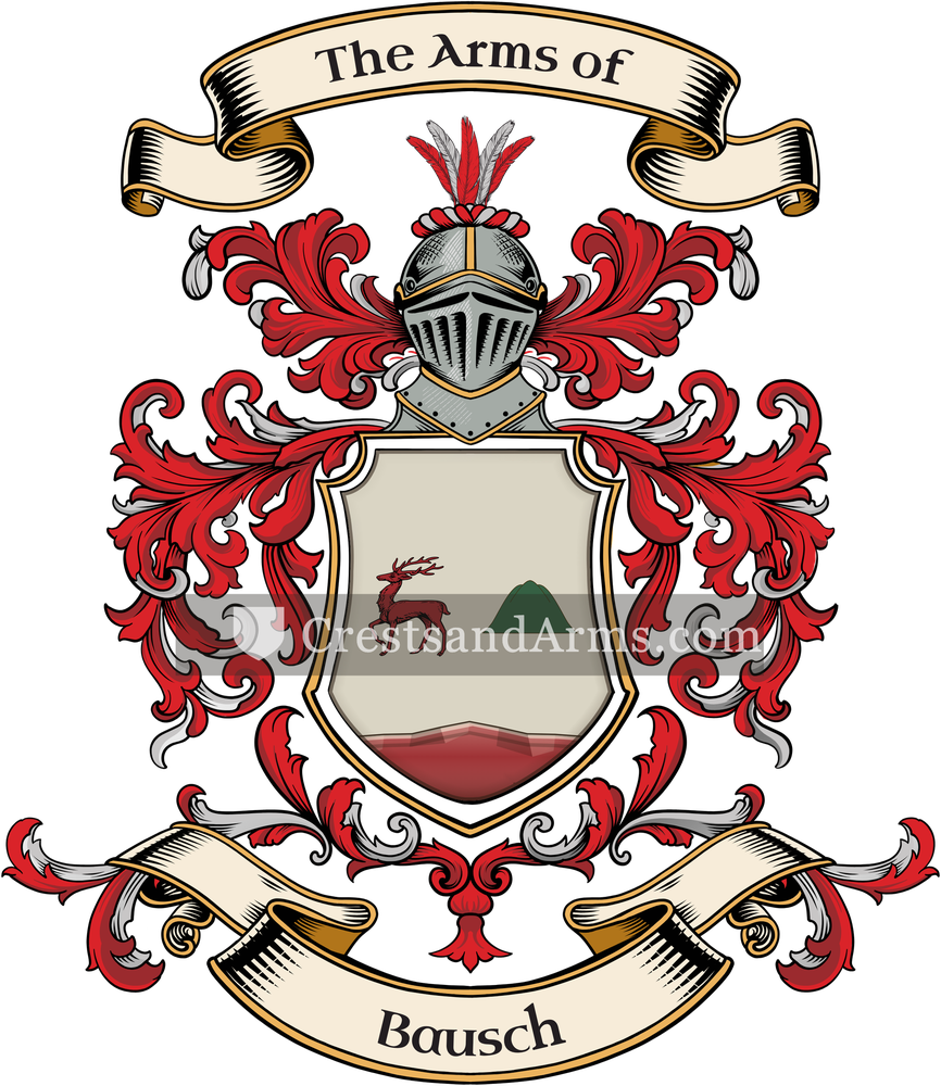 The Bausch coat of arms, drawn from the recorded blazon