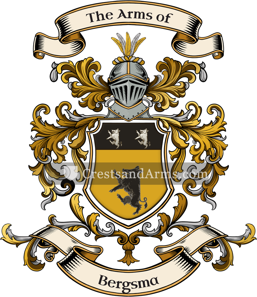The Bergsma coat of arms, drawn from the recorded blazon