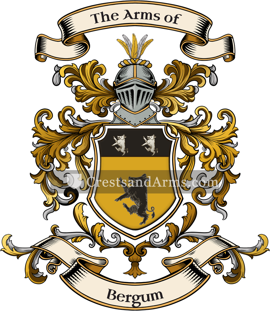 The Bergum coat of arms, drawn from the recorded blazon