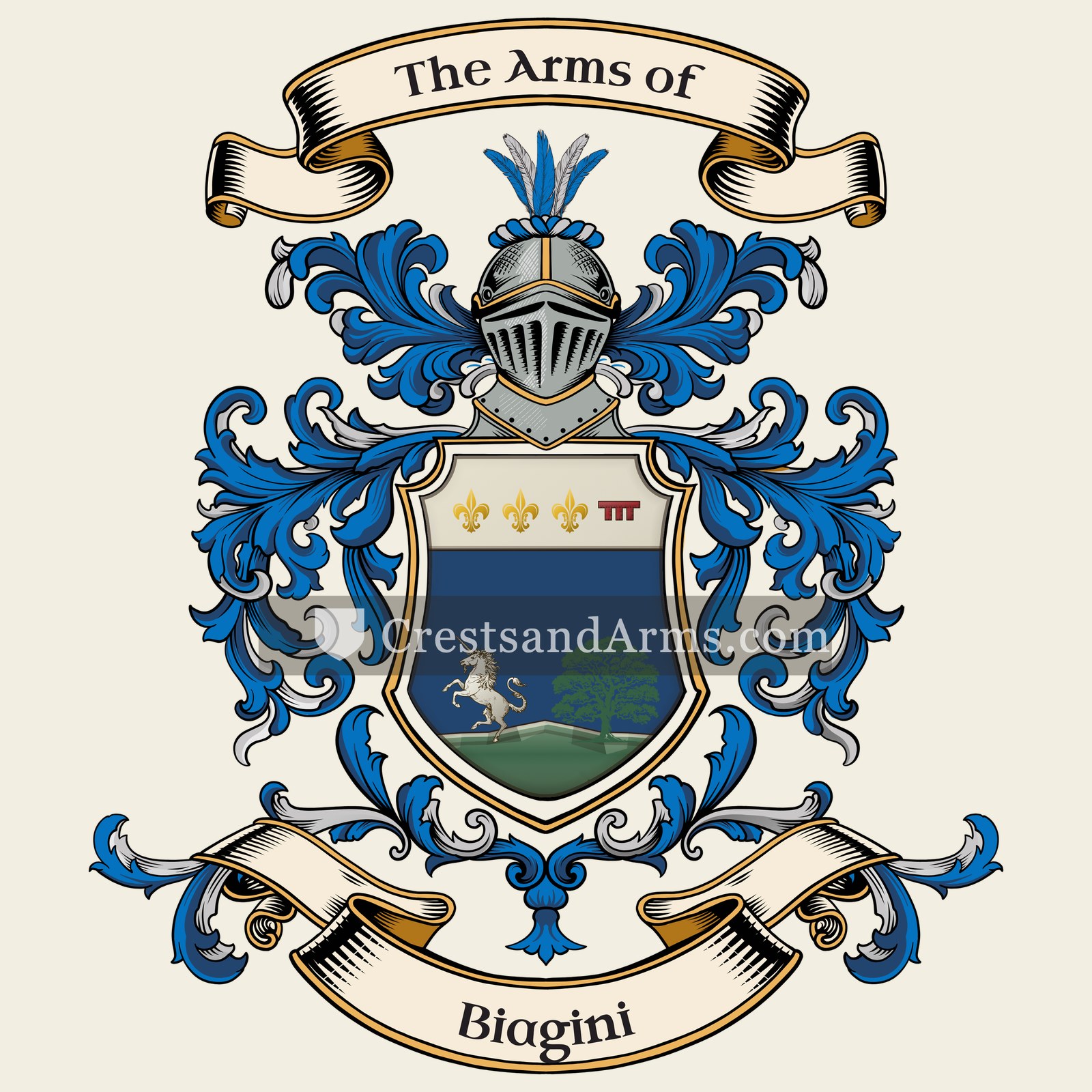 The Biagini coat of arms, drawn from the recorded blazon