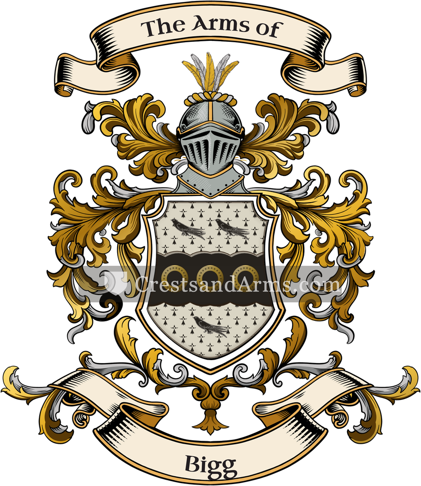 The Bigg coat of arms, drawn from the recorded blazon