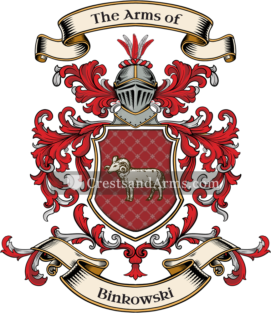 The Binkowski coat of arms, drawn from the recorded blazon
