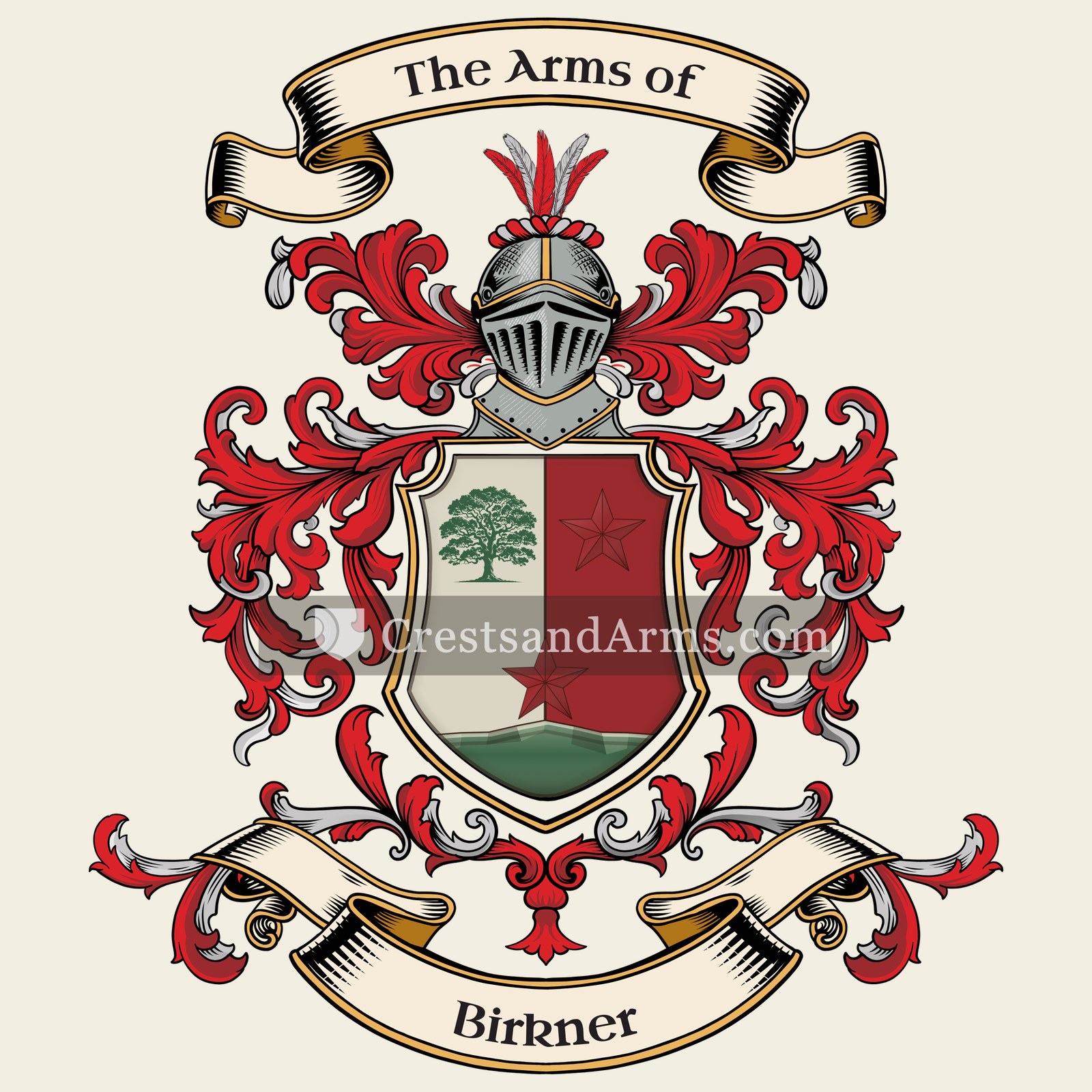 The Birkner coat of arms, drawn from the recorded blazon