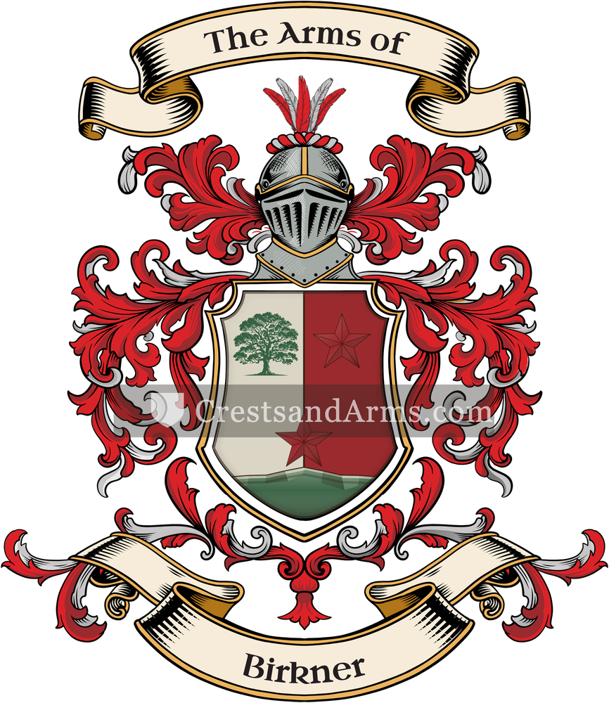 The Birkner coat of arms, drawn from the recorded blazon