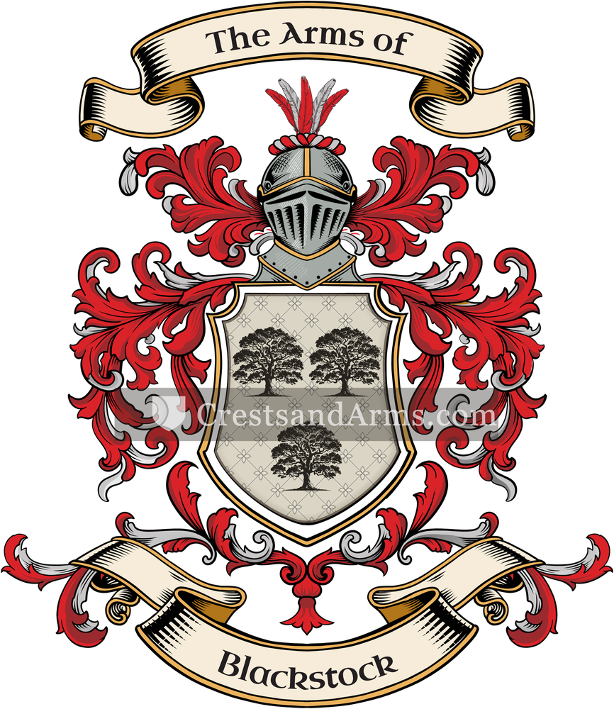 The Blackstock coat of arms, drawn from the recorded blazon
