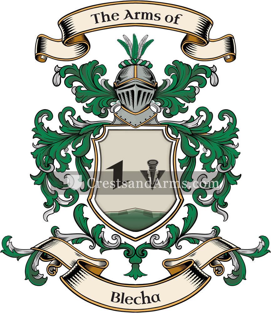 The Blecha coat of arms, drawn from the recorded blazon