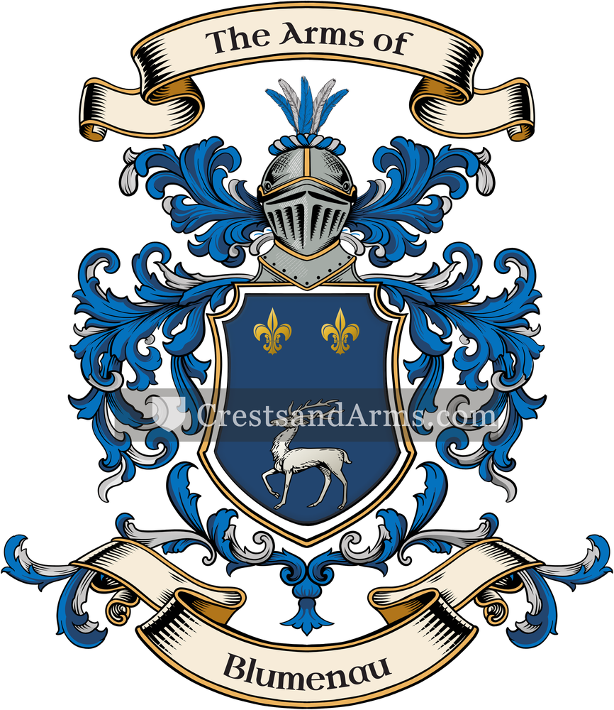 The Blumenau coat of arms, drawn from the recorded blazon