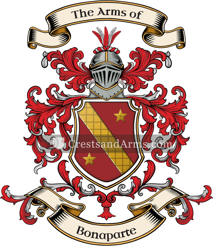 The Bonaparte coat of arms, drawn from the recorded blazon
