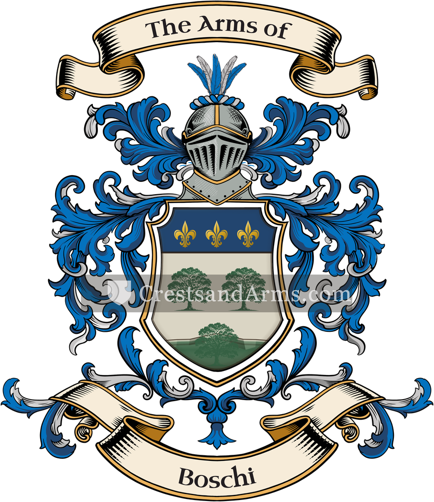 The Boschi coat of arms, drawn from the recorded blazon