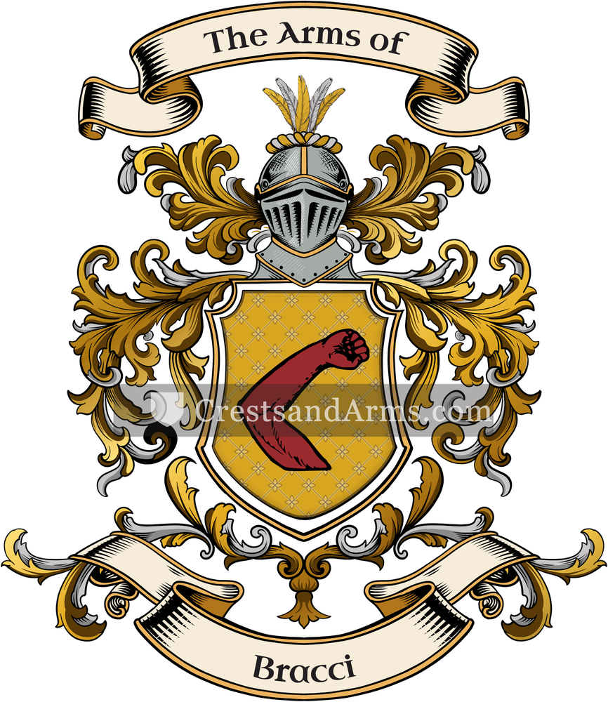 The Bracci coat of arms, drawn from the recorded blazon