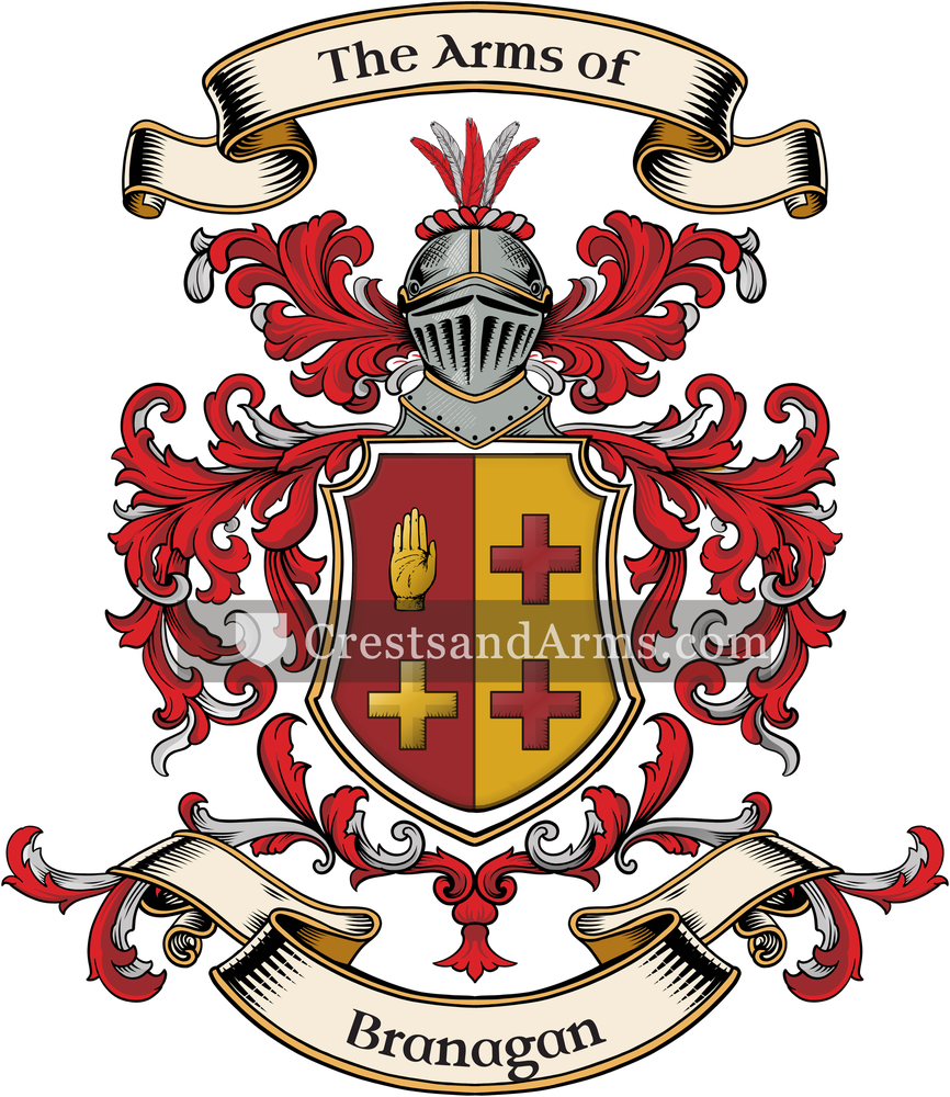 The Branagan coat of arms, drawn from the recorded blazon