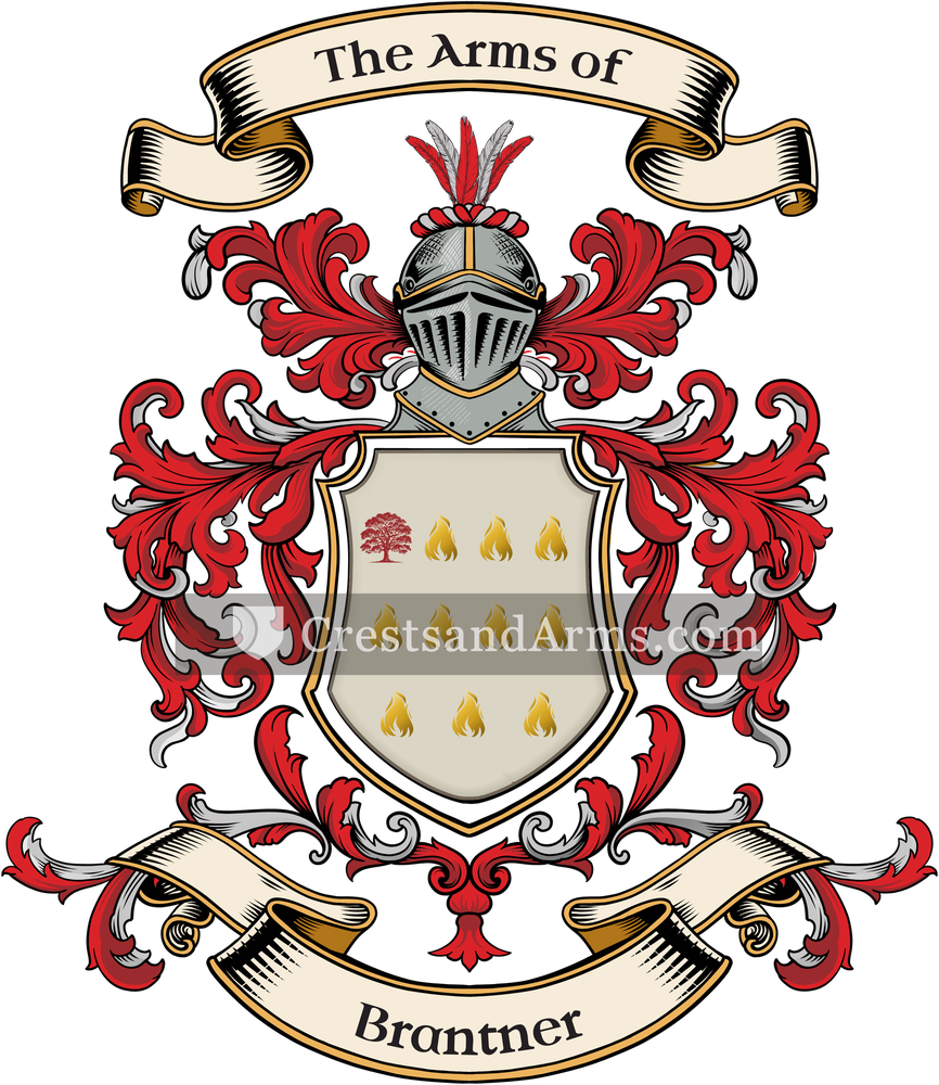 The Brantner coat of arms, drawn from the recorded blazon