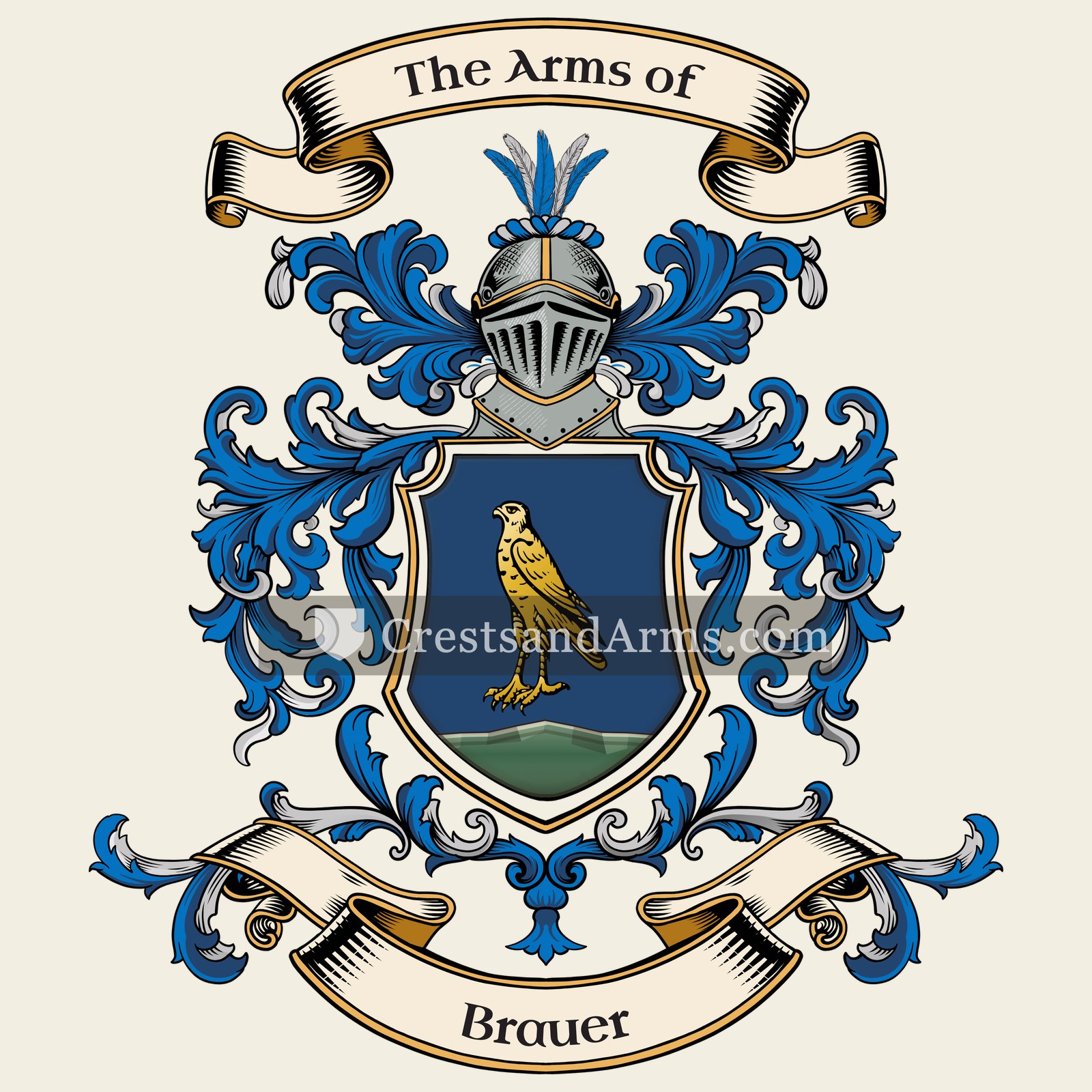 The Brauer coat of arms, drawn from the recorded blazon