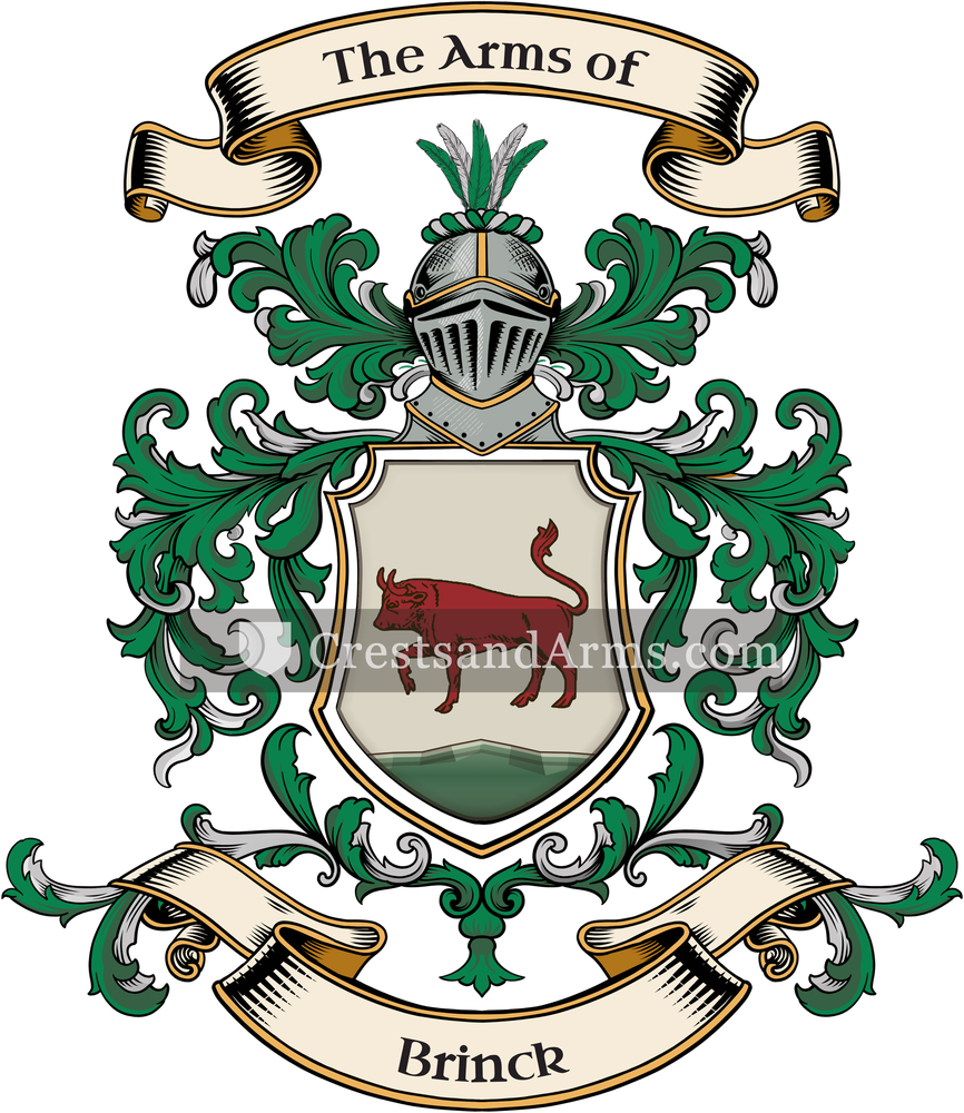 The Brinck coat of arms, drawn from the recorded blazon