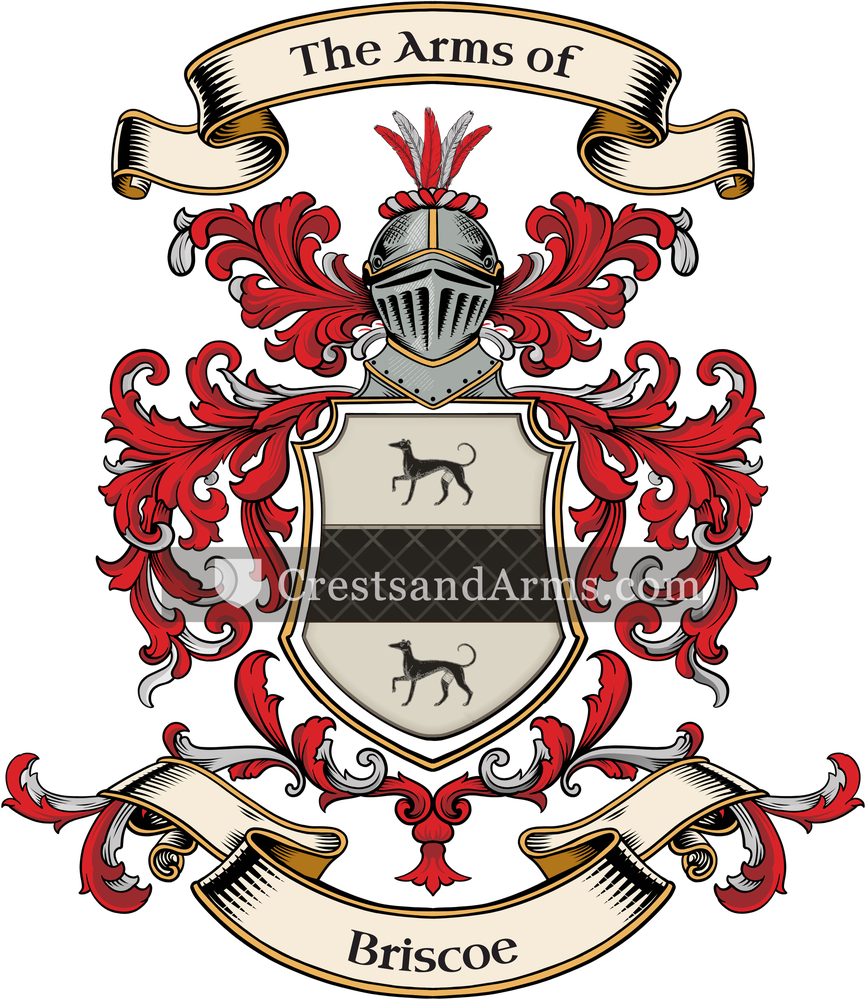 The Briscoe coat of arms, drawn from the recorded blazon