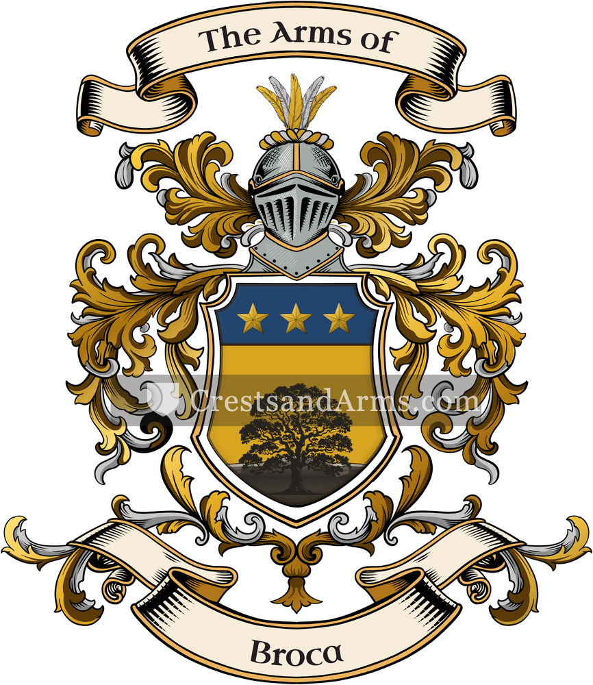 The Broca coat of arms, drawn from the recorded blazon