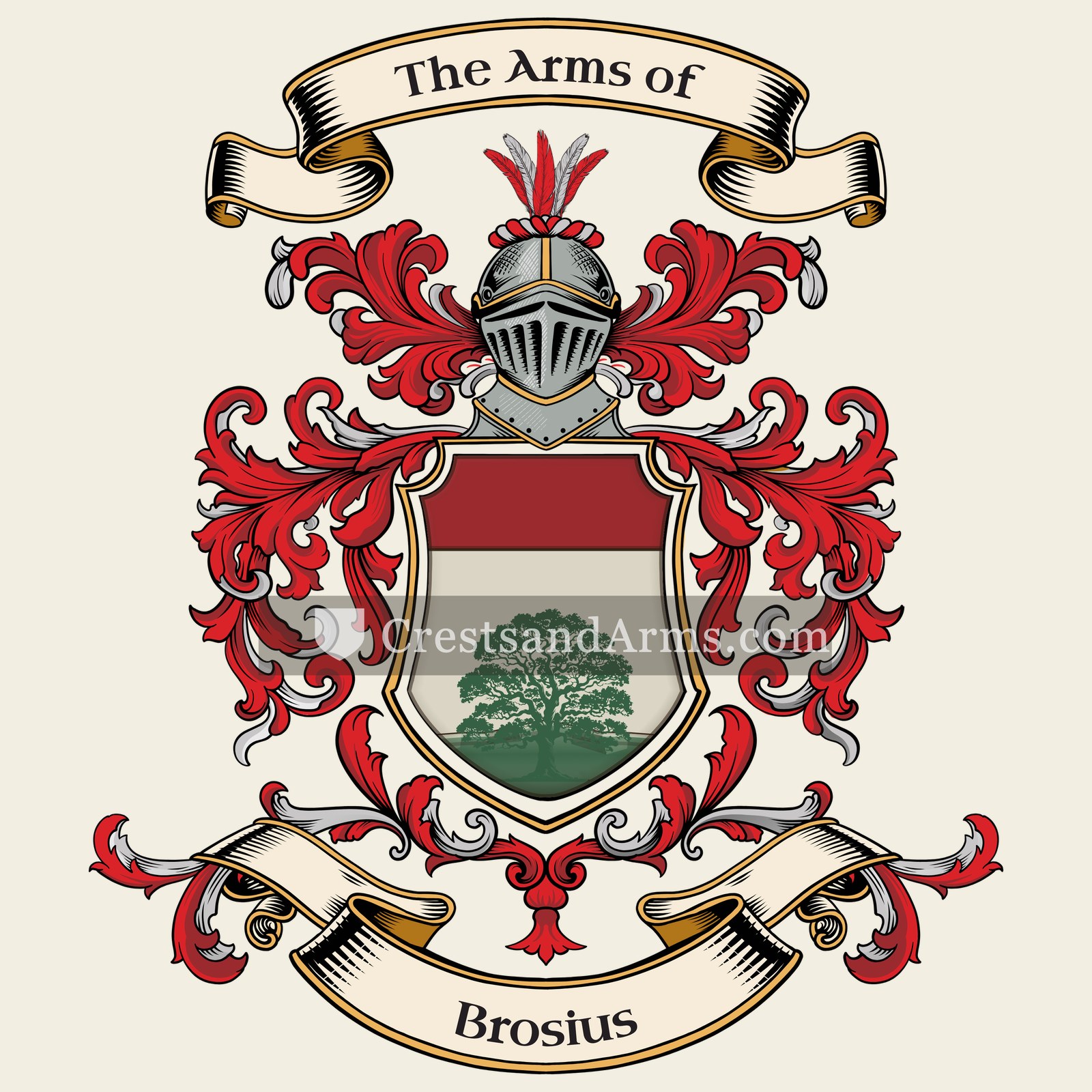 The arms