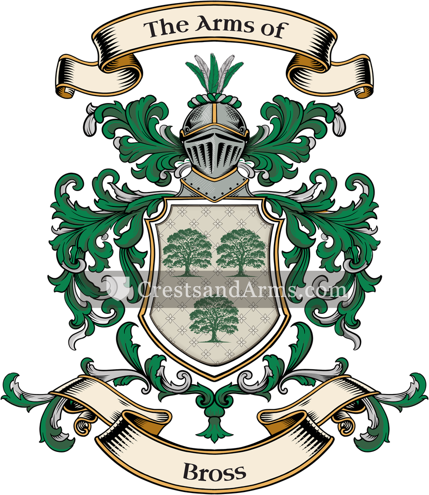 The Bross coat of arms, drawn from the recorded blazon