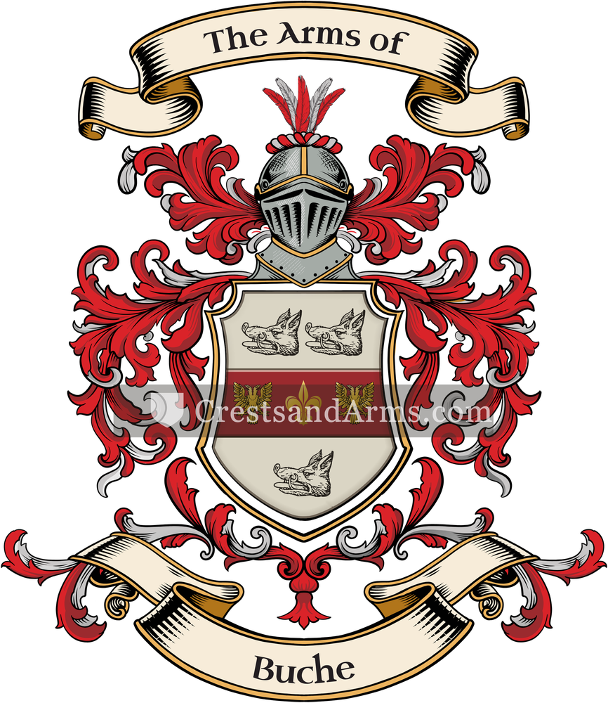 The Buche coat of arms, drawn from the recorded blazon