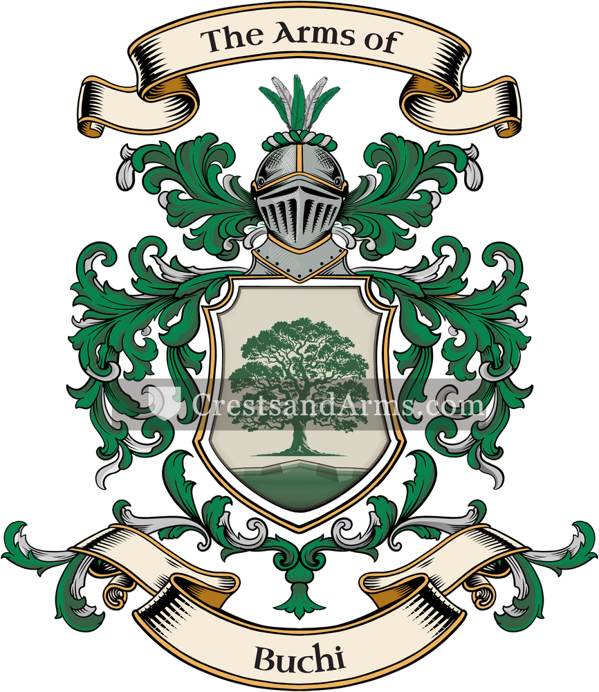 The Buchi coat of arms, drawn from the recorded blazon