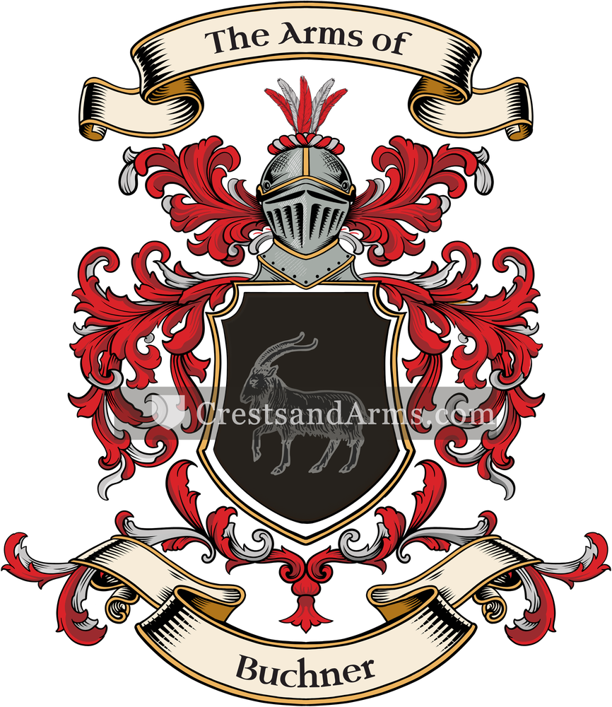 The Buchner coat of arms, drawn from the recorded blazon