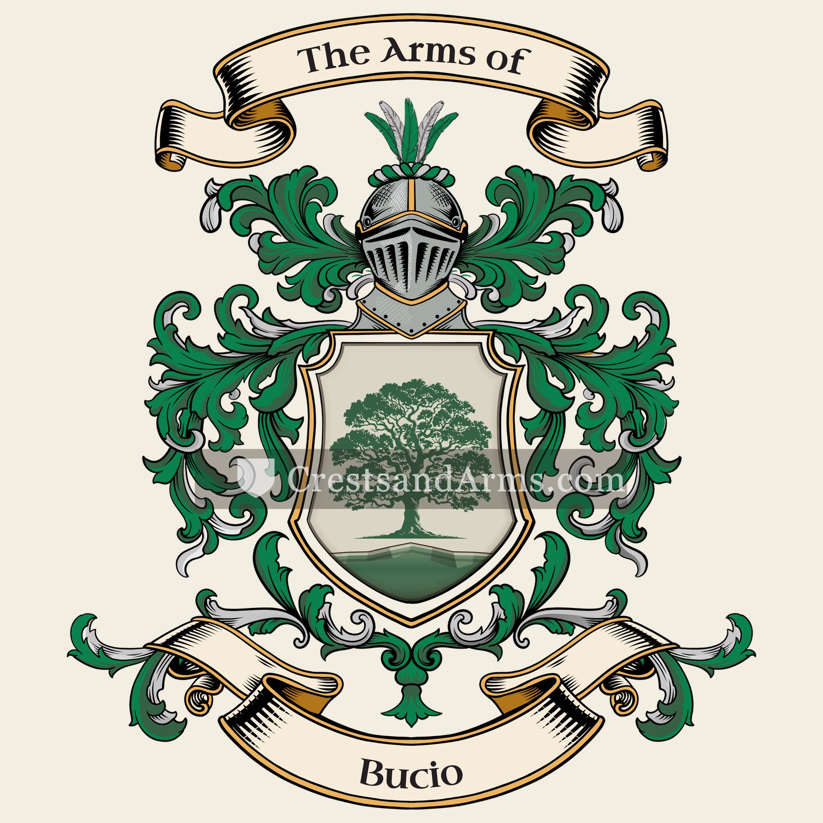 The Bucio coat of arms, drawn from the recorded blazon
