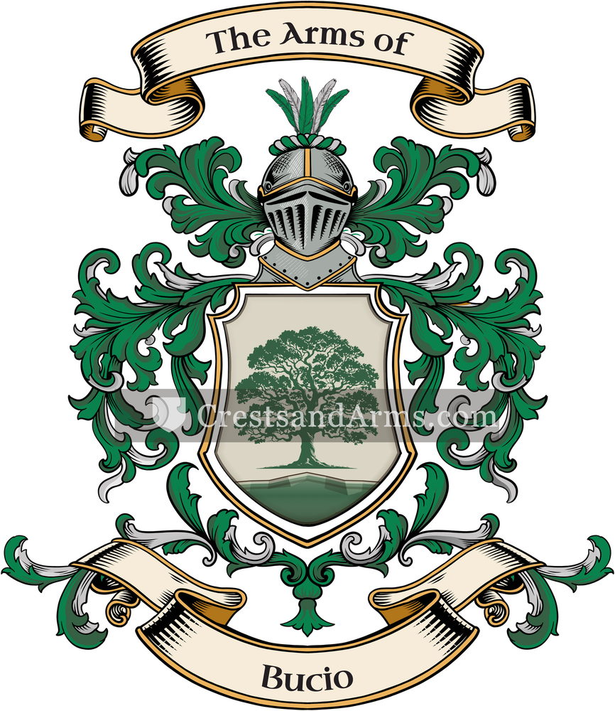 The Bucio coat of arms, drawn from the recorded blazon