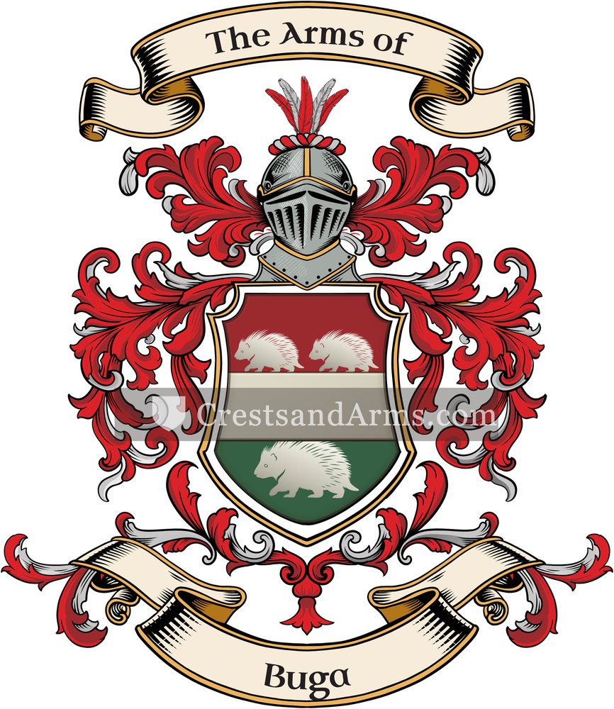 The Buga coat of arms, drawn from the recorded blazon
