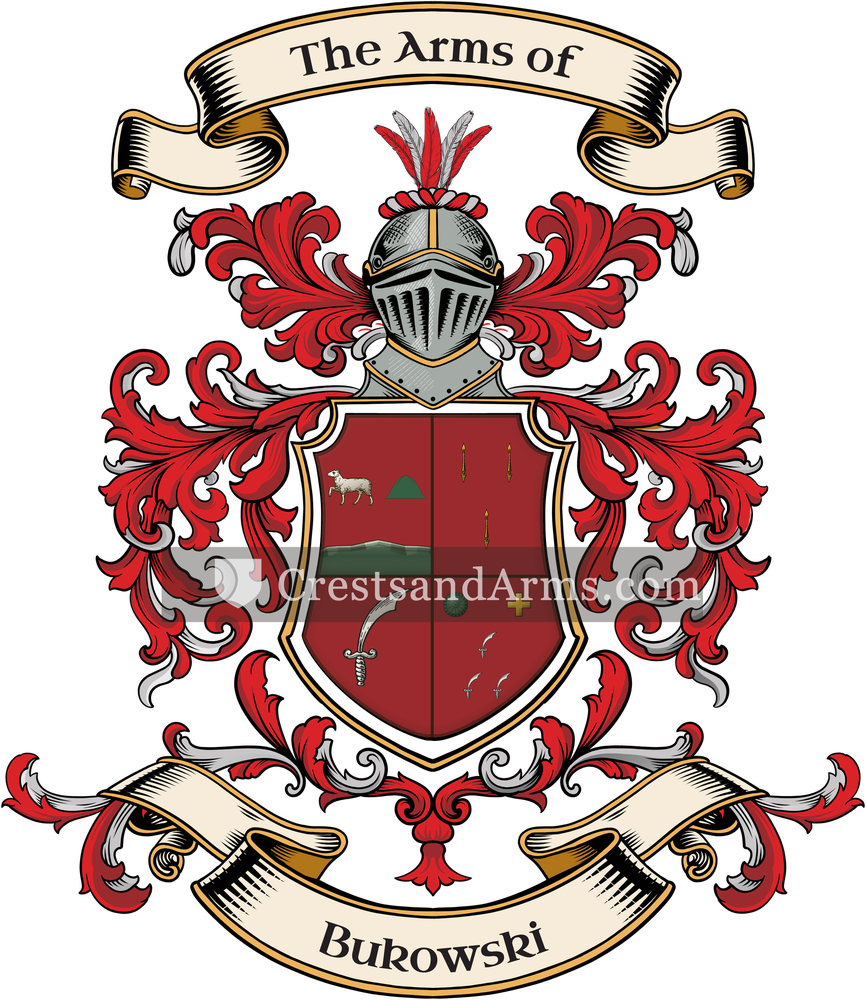 The Bukowski coat of arms, drawn from the recorded blazon