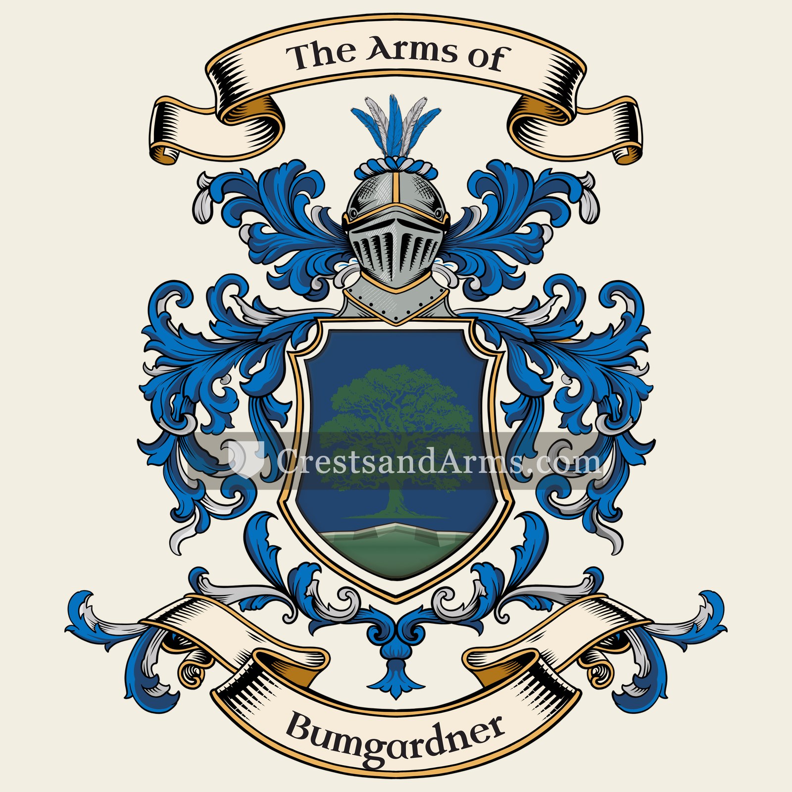 The arms