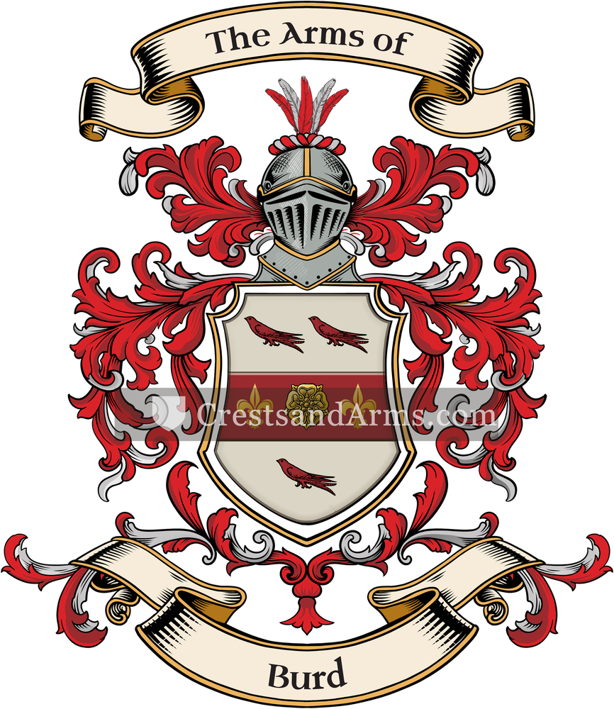 The Burd coat of arms, drawn from the recorded blazon