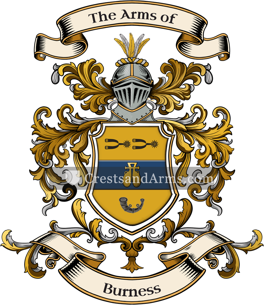The Burness coat of arms, drawn from the recorded blazon