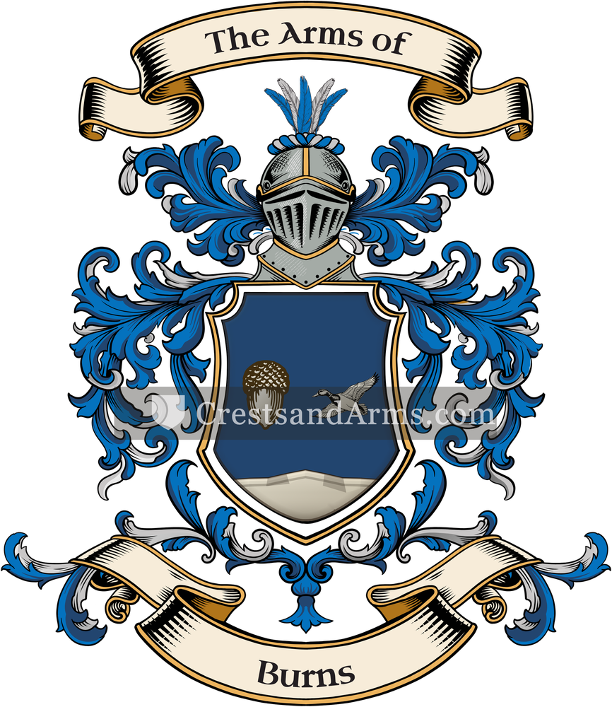 The Burns coat of arms, drawn from the recorded blazon